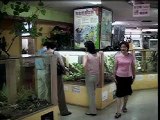 台灣宏觀電視TMACTV--木生昆蟲博物館