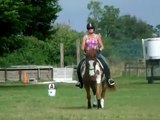 PSG Dressage Paint mare- For Sale Diva Registered APHA