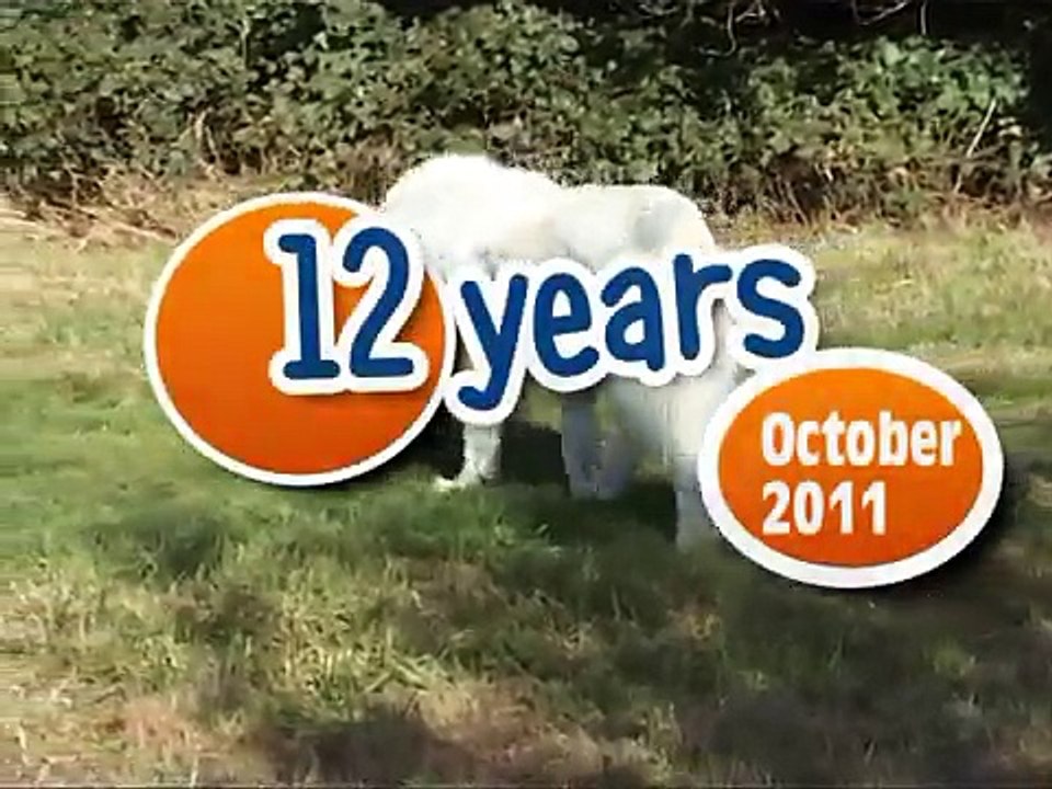 Peluche 12 years old