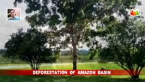 Deforestation Of Amazon Basin