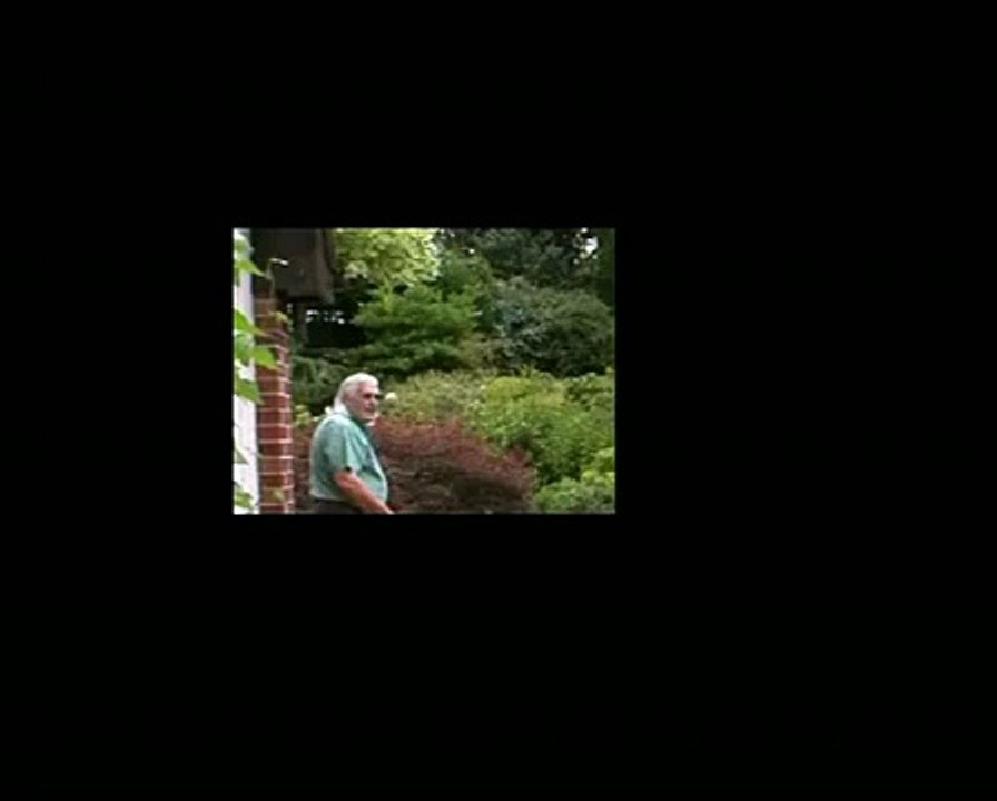 Pistol Firing Demo - By An Old Timer