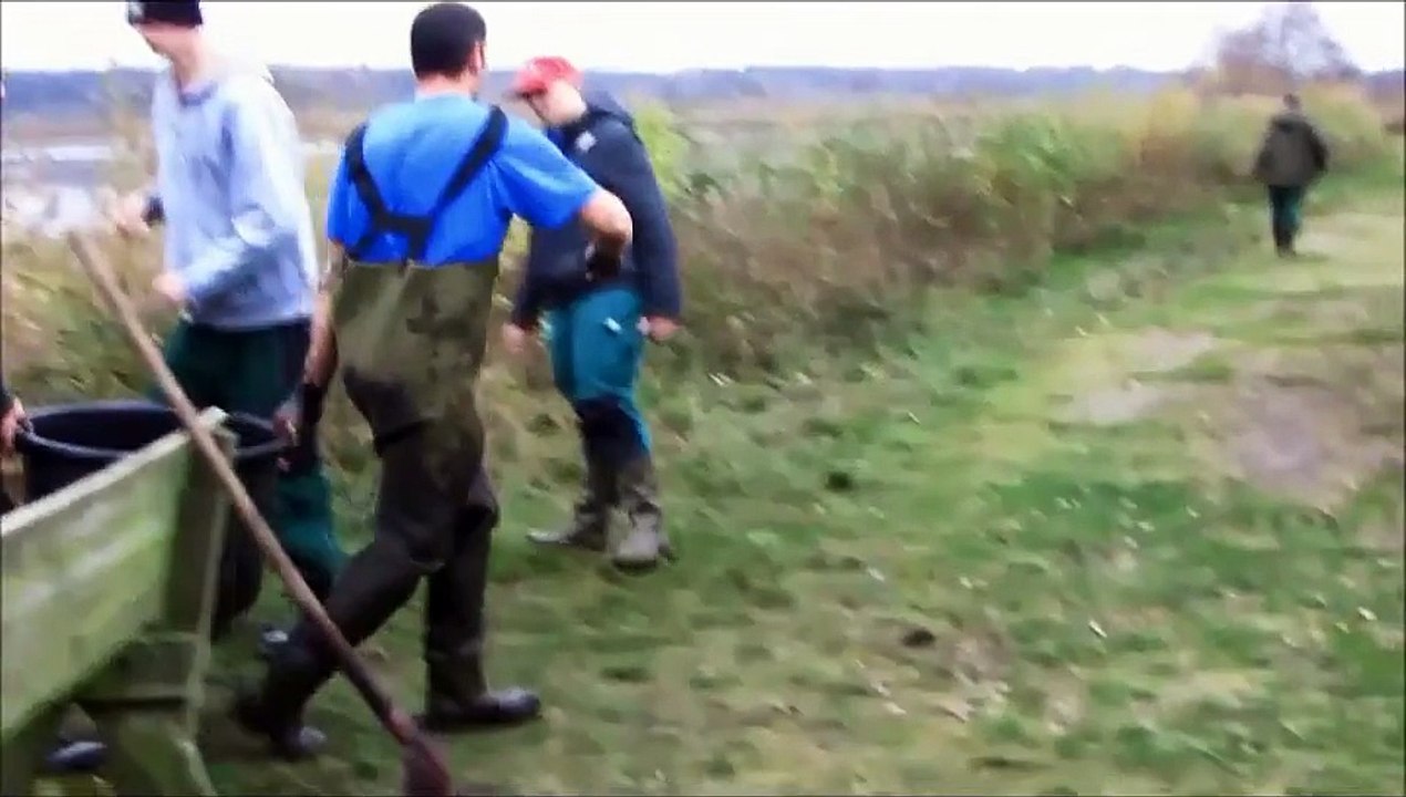 Rubber & Neoprene Chest Waders in Fish Haul Vylov