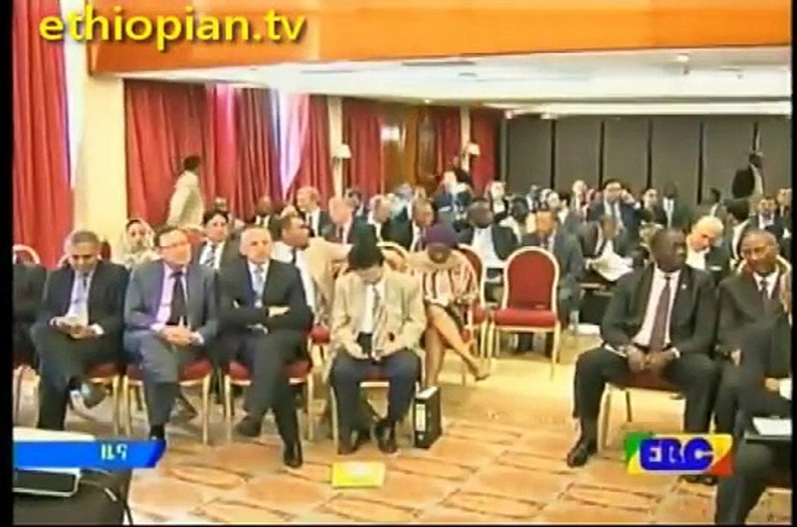 ⁣Ethiopian News  Friday, May 29, 2015