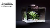 Fluval Chi 2 Aquarium 19 ltr deluxe fish tank