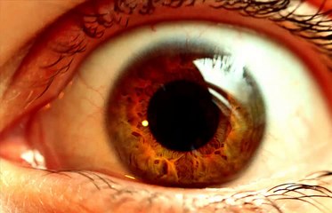 Peripheral Vision - Creepy Pasta