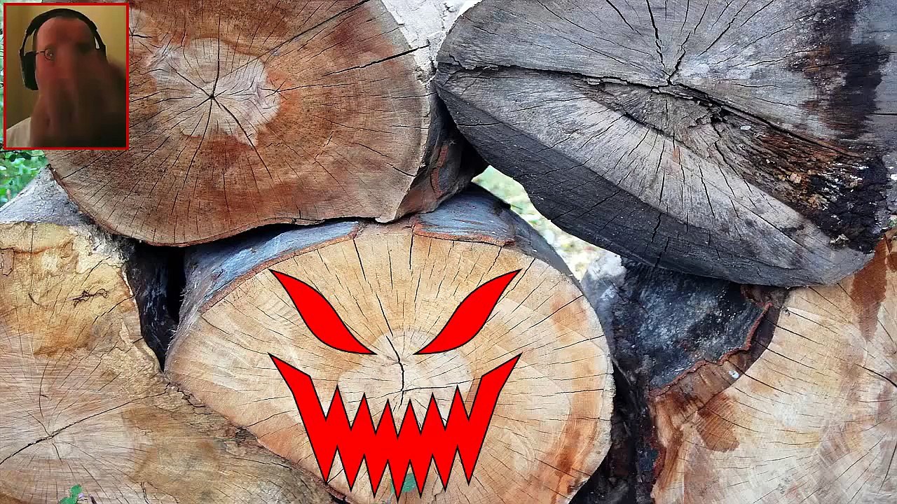 SlendyTubbies - Custard And Logs