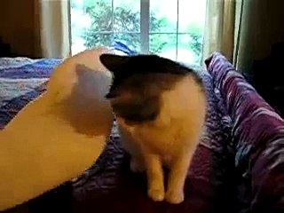 Sensual relationship