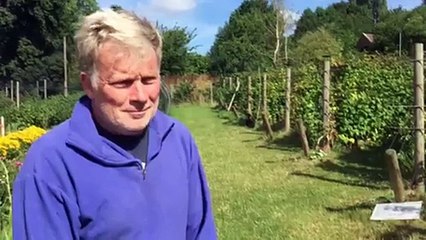 Agriculture urbaine à Bruxelles: présentation de Fruit Time