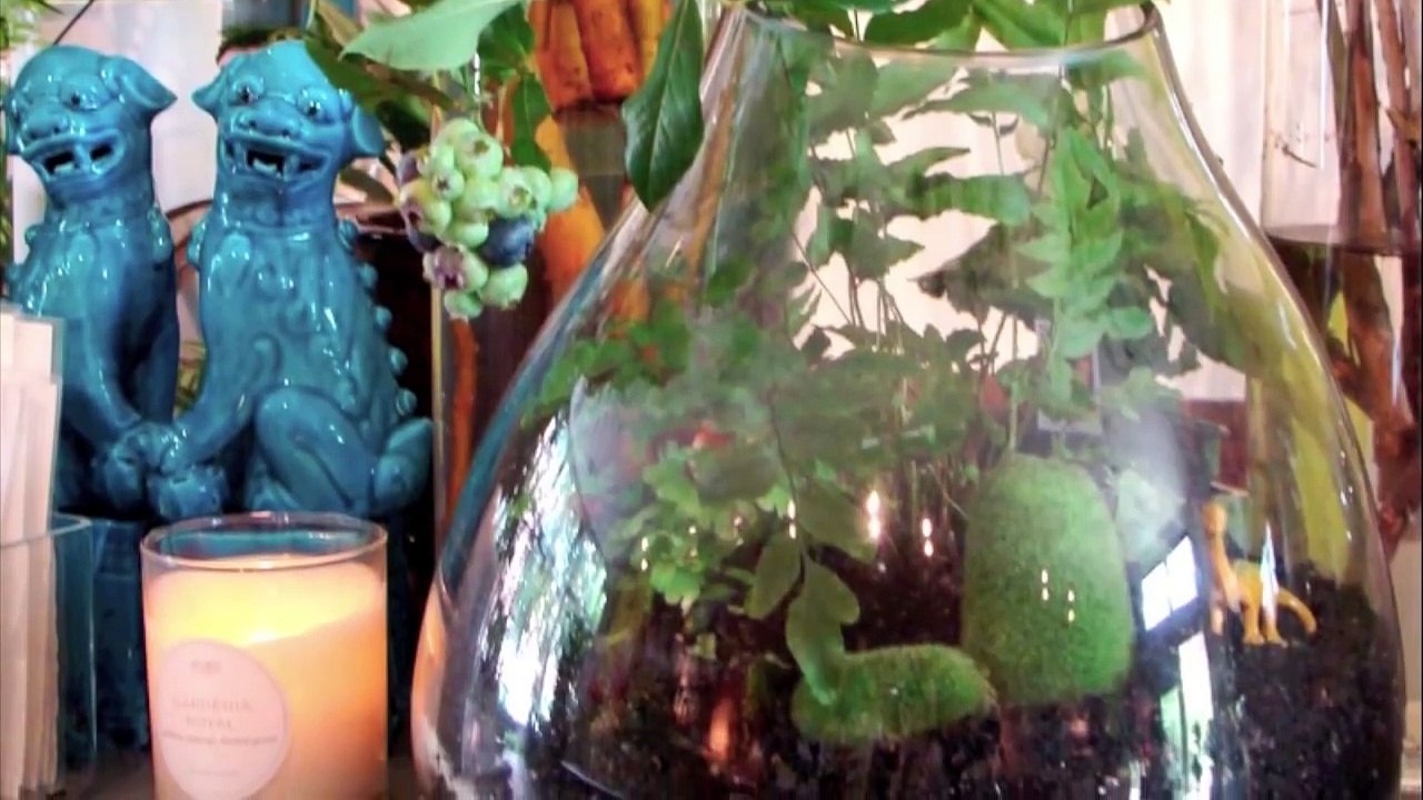 Comment créer votre propre jardin dans une bouteille