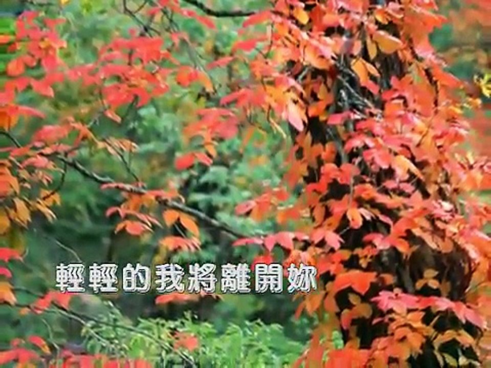 齊秦 大約在冬季