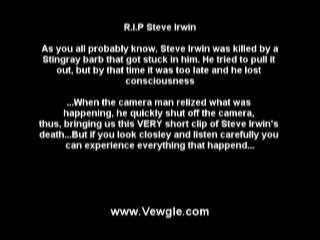 Steve Irwin stingray video - Extreme