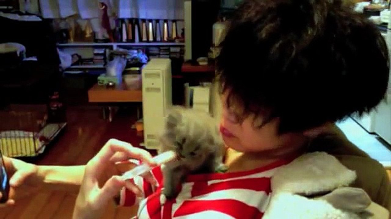 hocc菇粒餵食23march11