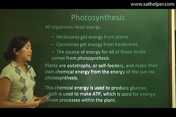 [SAT2 - Biology] Lecture 5: Photosynthesis, Light Reactions, Calvin Cycle