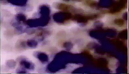 Last House On Hell Street (2002) - Trailer (Horror)