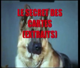 Rex chien flic - Le secret des cartes (Extraits)