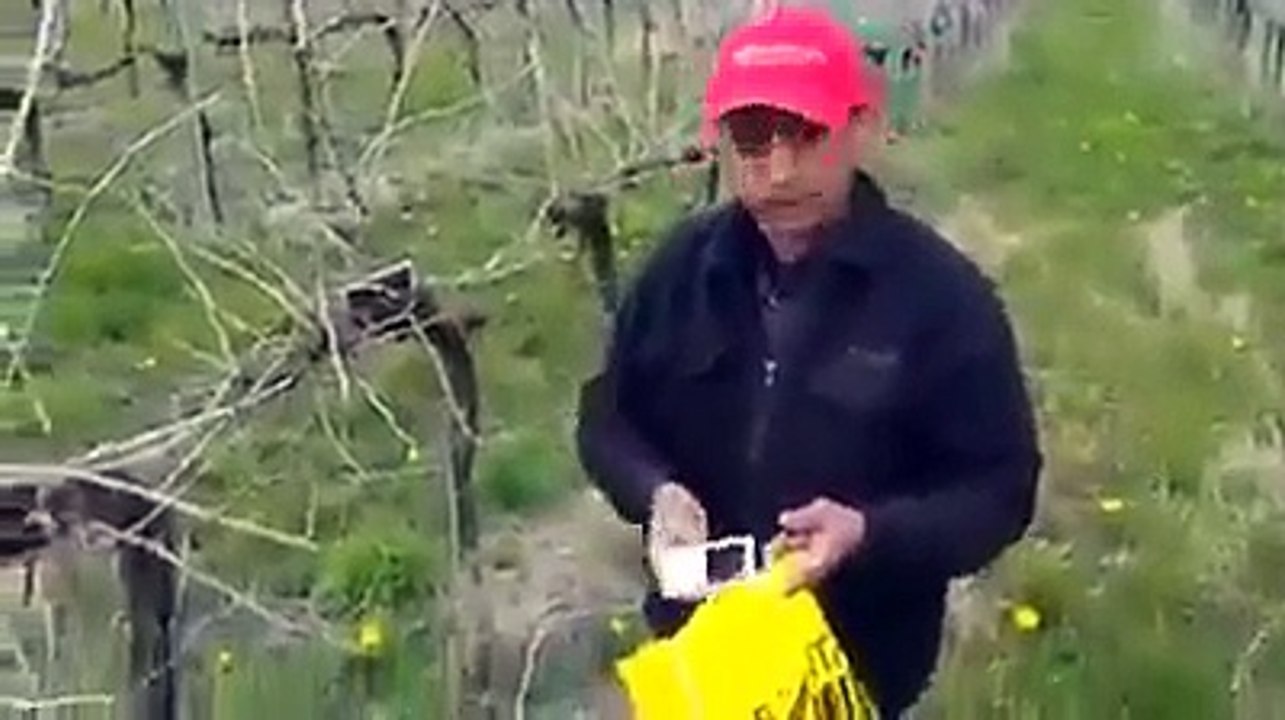 Mobile grow on trees in Europe