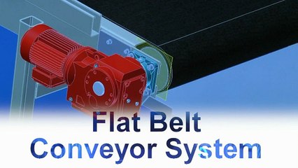 Fame Industries Flat Belt Conveyor
