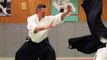 Les sélections techniques Aikido de Michel Erb Sensei Part 4
