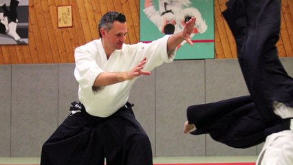 Les sélections techniques Aikido de Michel Erb Sensei Part 4