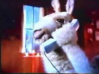 La llama que llama 10 - que me pincha el cardo