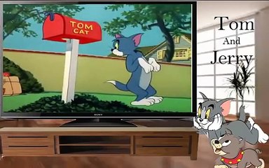 Tom and Jerry Cartoon Diary: Classic Episodes & Fun Moments 🐭🐱