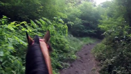 Passeggiata a cavallo a Napoli - Horse Riding - GoPro