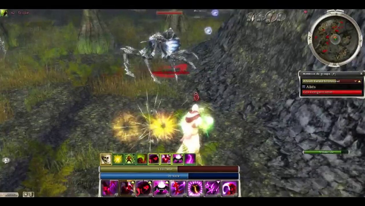 Guild Wars -- FARM FoW Assassin