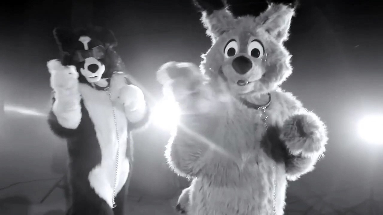 All the Single Furries!