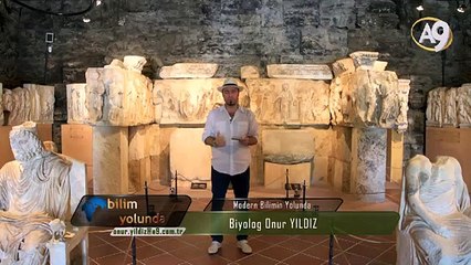 Bilim Yolunda - 25. Bölüm - İnsanlık Tarihi 2