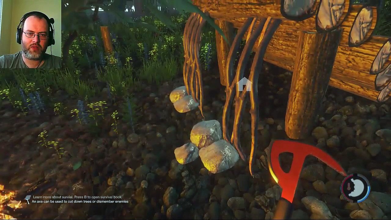 The Forest | Part 2 | Turtle Beach