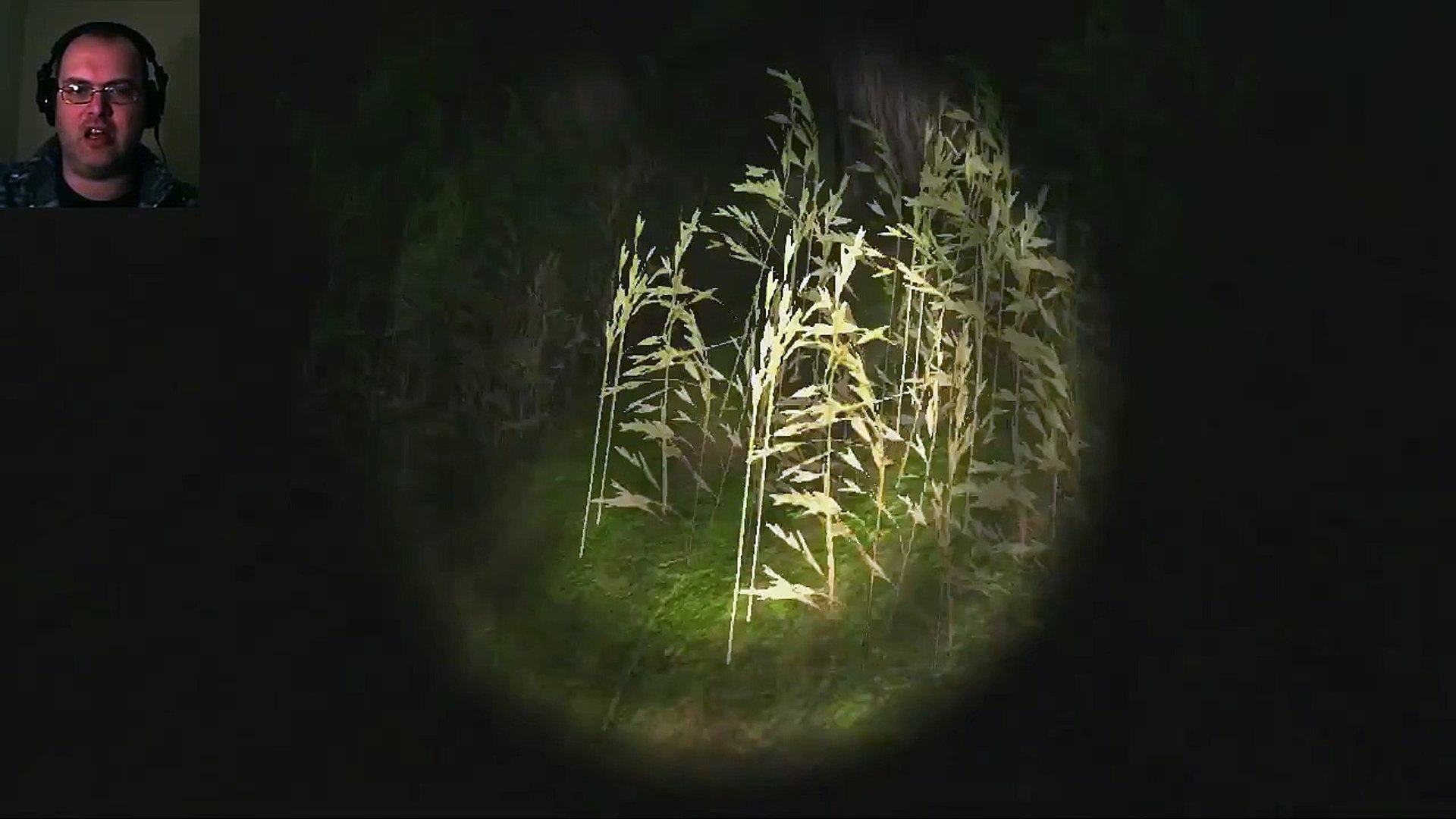 ⁣Swamp Simulator | Indie Horror