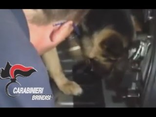 Brindisi - Trasportavano 40 chili di cocaina nel doppiofondo dell'auto (01.08.15)