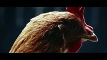 Mercedes Benz TV  MAGIC BODY CONTROL TV commercial  Chicken