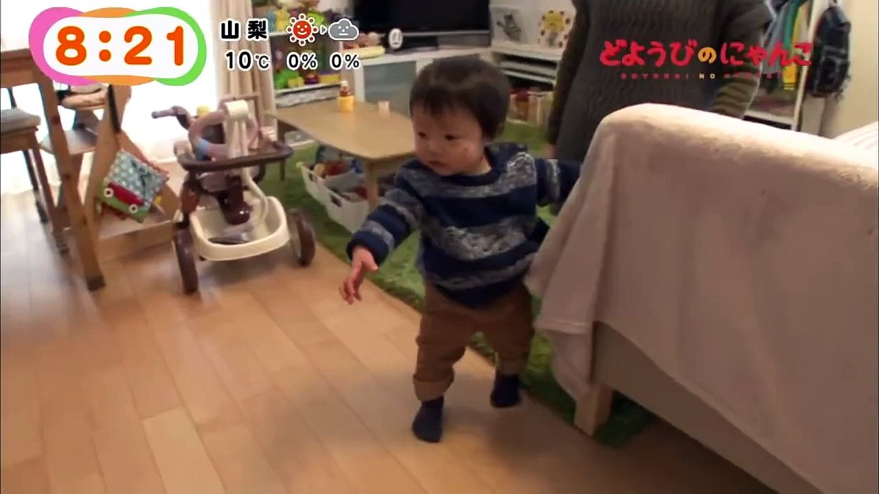 どようびのにゃんこ　チャシー