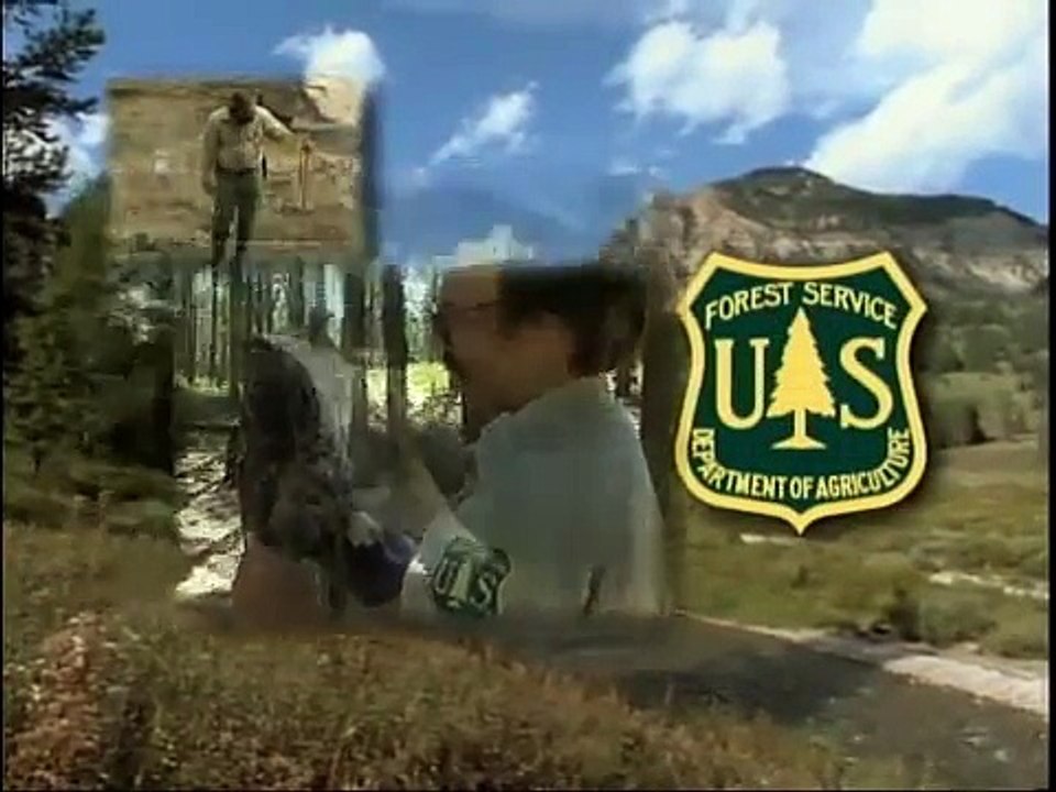 Entering the Forest Service