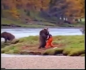 Massive bear and Man having a funny fight along the river