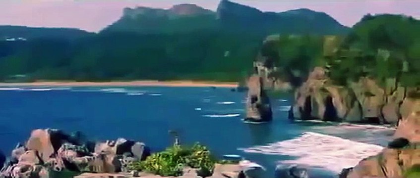 WILD JAPAN Animals Wildlife Nature documentary