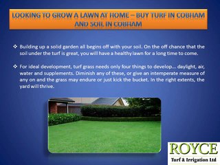 Looking to Grow a Lawn at Home – Buy Turf in Cobham and Soil in Cobham