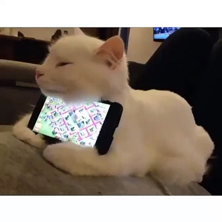 Un mignon petit support de portable...
