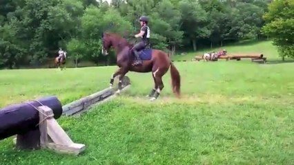 Funny Horse Jumps Way Too High For This Little Ditch At Training