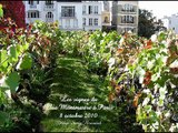 N°168 Histoire des vignes de Montmartre PARIS Fête des Vendanges 2010