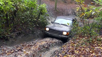 4WD Forest Hill - ASM 4x4