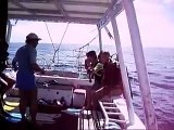 Shark Diving in Tahiti with Neutral Dive Gear