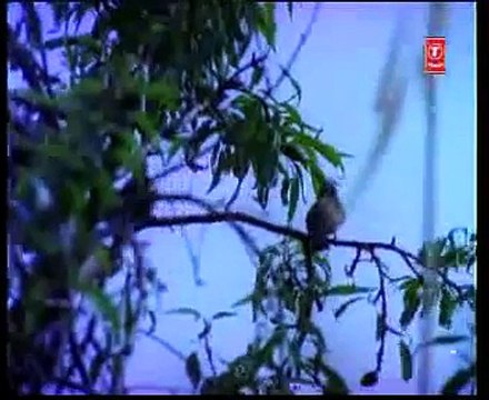 DIL KAHE RUKJA RE RUK JA BY MOHD.RAFI,M.D:LAXMIKANT PYARELAL- MAN KI ANKHEN