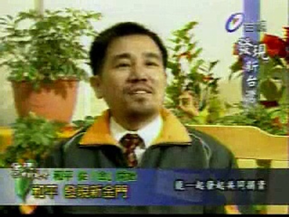 金厦和平大桥