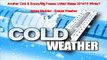 Another Cold & Snowy Polar Vortex United States U.S. Winter 2014-15 ? - Weather Forecast