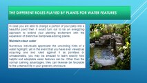 The Different Roles Played by Plants for Water Features