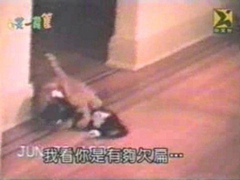 Comedy - Jackass - funny clip with cats