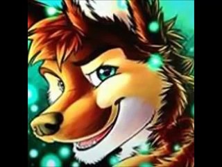 Gay furry pride!