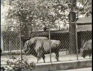 Bezoek aan Artis in 1934